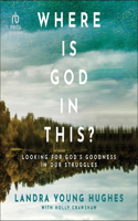 Where Is God in This?: Looking for God's Goodness in Our Struggles