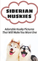 Siberian Huskies