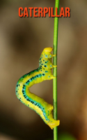 Caterpillar: Amazing Photos & Fun Facts Book About Caterpillar For Kids