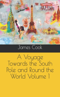 A Voyage Towards the South Pole and Round the World Volume 1