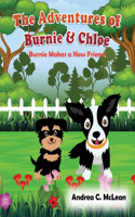 Adventures of Burnie & Chloe