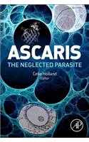 Ascaris