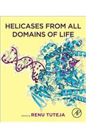 Helicases from All Domains of Life