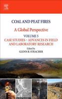 Coal and Peat Fires: A Global Perspective