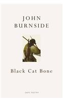 Black Cat Bone