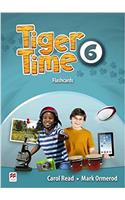 Tiger Time Level 6 Flashcards