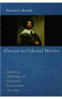Africans in Colonial Mexico