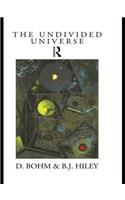 The Undivided Universe