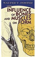 The Influence of Bones and Muscles on Form