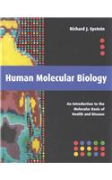 Human Molecular Biology: An Introduction to the Molecular Basis of Health and Disease