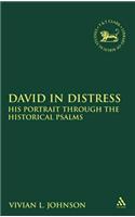 David in Distress