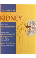 Atlas of Diseases of the Kidney: Atlas of Diseases of the Kidney Volume 1