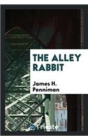 The alley rabbit