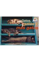 Gatos, Gatos, y Mas Gatos