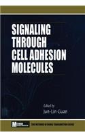 Signaling Through Cell Adhesion Molecules