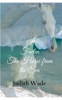 Faelen, The Horse from the Sea