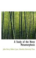 A Study of the Newe Metamorphosis