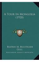 Tour in Mongolia (1920)