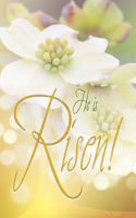 Risen Easter Dogwood Bulletin (Pkg of 50)