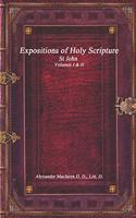 Expositions of Holy Scripture: St John Volumes I & II