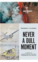 Never a Dull Moment