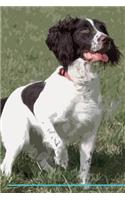 English Springer Spaniel Affirmations Workbook English Springer Spaniel Presents