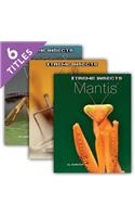 Xtreme Insects (Set)