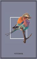 Birds Notebook - Robin