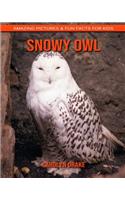 Snowy Owl: Amazing Pictures & Fun Facts for Kids