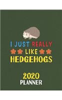 I Just Really Like Hedgehogs 2020 Planner