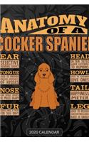 Anatomy Of A English Cocker Spaniel: English Cocker Spaniel 2020 Calendar - Customized Gift For English Cocker Spaniel Dog Owner
