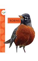 Robins