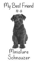 My best Friend is a Miniature Schnauzer: 8" x 5" Blank lined Journal Notebook 120 College Ruled Pages(133 Best Friends)
