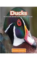 Ducks: Fun Facts and Amazing Photos of Animals in Nature