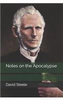 Notes on the Apocalypse