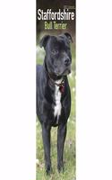 Staffordshire Bull Terrier 2021 Slim Calendar