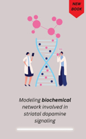Modeling biochemical network involved in striatal dopamine signaling