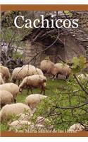 Cachicos