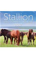 Stallion: Daily Planner Calendar 2017