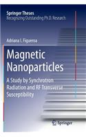 Magnetic Nanoparticles