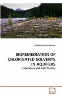 Bioremediation of Chlorinated Solvents in Aquifers