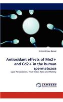 Antioxidant Effects of Mn2+ and Cd2+ in the Human Spermatozoa