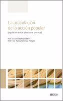 La articulacion de la accion popular: Regulacion actual y horizonte procesal