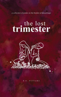 Lost Trimester