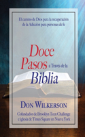 Doce Pasos a Través de la Biblia: El camino de Dios para la recuperación de la Adicción para personas de fe