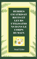 Herbes Cicatrisatrices Et Leurs Utilisations Dans Le Corps Humain