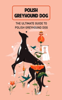 Polish Greyhound Dog