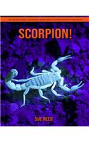 Scorpion! An Educational Children's Book about Scorpion with Fun Facts