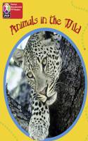 Primary Years Programme Level 1 Animals in the Wild 6Pack: (Pearson Baccalaureate PrimaryYears Programme)