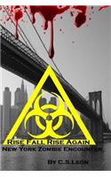 Rise Fall Rise Again